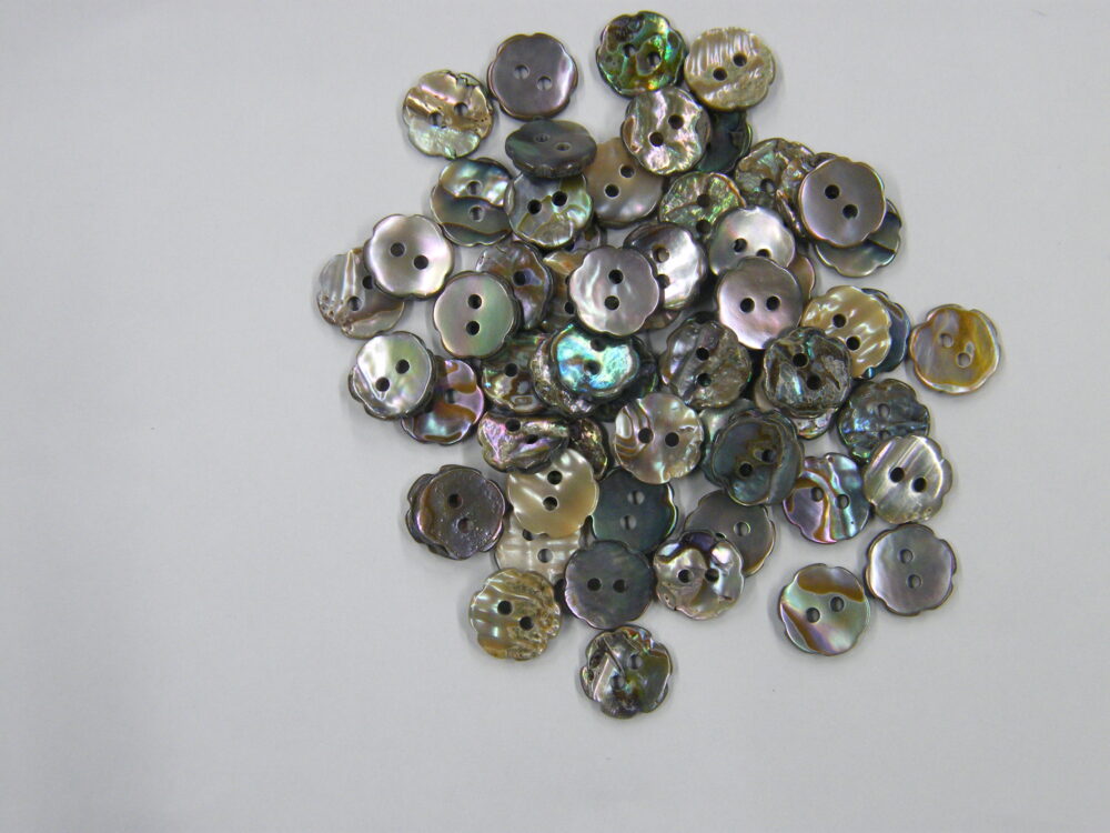 544SM※メキシコあわび　2穴　11mm 1個45円(税抜)